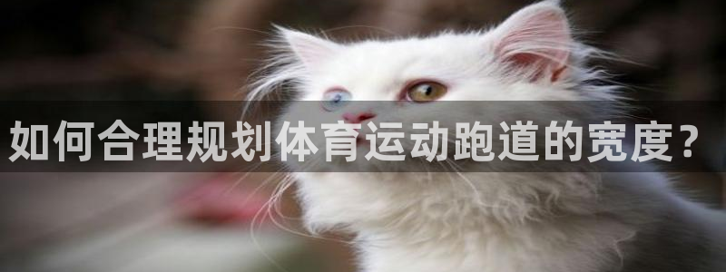 77体育app下载官网