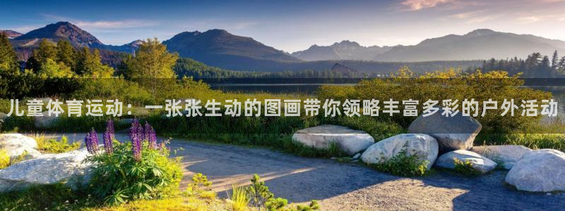 77体育官网