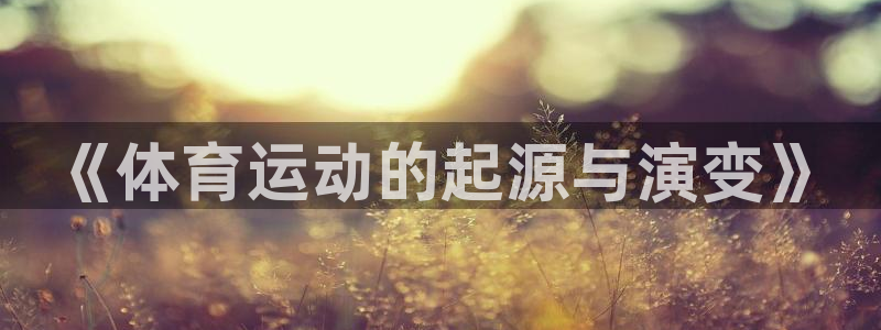 77体育官网