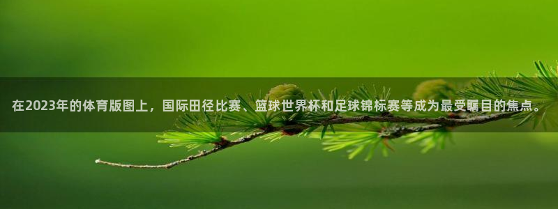 77体育官网