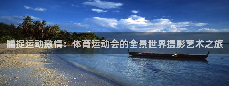 77体育官网