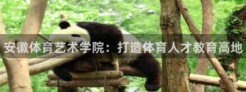 皇冠277体育