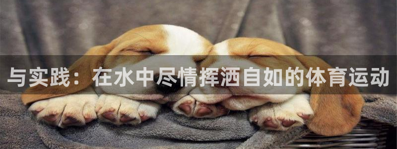 77体育官网
