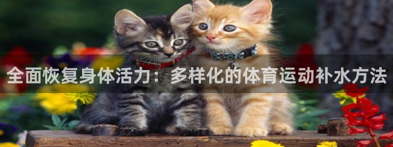 77体育